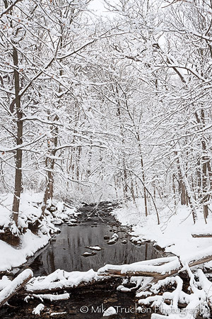 Snow Blanket